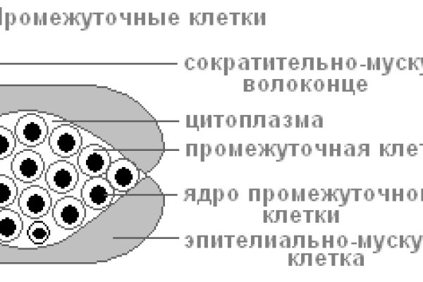 Ссылка на кракен на сегодня