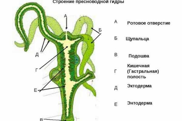 Кракен сайт бошки